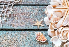 HD 7x5ft Vinyl Nautical Backdrop for Photography Conch Shells Starfish Mussel Wood Board Background Marine Theme Summer Party Seaman Sailor Kids Baby Photo Booth Shoot Studio Props