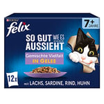 FELIX Nourriture pour chat senior humide en gelée, mélange de variétés, lot de 6 (6 x 12 sachets de 85 g)