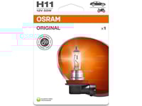 Osram 4062172395229 Halogenljuskälla Standard H11 55 W 12 V