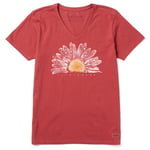Life Is Good T-Shirt à Manches Courtes en Coton à imprimé Floral Standard pour Femme, Motif Marguerites Aquarelle, Rouge délavé, XS