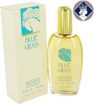 Perfume Elizabeth Arden Blue Grass Eau de Parfum 100ml Spray Woman Cn Package