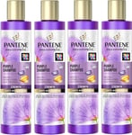 4x Pantene Pro-v Miracles Purple Shampoo 225ml, Strength & AntiBrassiness
