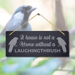 Stukk Panneau d'oiseau à Suspendre au Laser « House is Not Home Without Laughingthrush », Plaque en Pierre d'ardoise Naturelle gravée, 30 x 12 cm