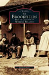 Arcadia Library Editions Dennis LeBeau Brookfields: From the Collection of William Bullard