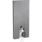 Geberit Monolith Plus cistern för back-to-wall toalett, 114 cm, skifferoptik