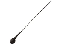 Am/Fm-Antenn Oem Fiat/Lancia Passiv