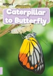 William Anthony - Caterpillar to Butterfly Bok