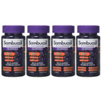 Sambucol Immune Support 12 Years+ 4 x 30 Gummies Black Elderberry DATED JAN/23