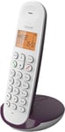 Logicom ILOA 155T Téléphone Fixe sans Fil avec Répondeur Enregistreur - Solo - Téléphones analogiques et dect - Aubergine