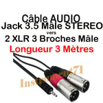 CABLE AUDIO JACK 3.5 MALE STEREO VERS 2 XLR 3 BROCHES REPEREES MALE LONGUEUR 3 METRES