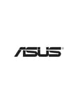 ASUS - network adapter - M.2 2230 (CNVi)