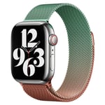 Apple Watch (38/40/SE/41mm) Gradient Magnetic Stainless Steel Strap - Oransje / Grønn