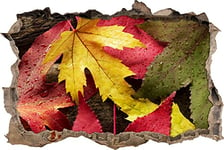 pixxp Rint 3D WD s2427 _ 92 x 62 Feuilles d'automne colorées sur percée Murale en Bois 3D Sticker Mural, Vinyle, Multicolore, 92 x 62 x 0,02 cm