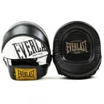 Everlast 1910 Mini Mittsar