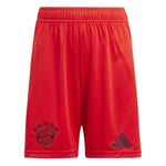 adidas Bayern München Hjemmeshorts 2024/25 Barn - Fotballshorts unisex