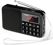 Portable Radios Small AM/FM/SW with AUX/SD/TF/MP3 Speaker, Black (NO DAB)