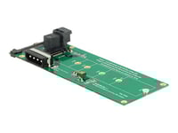 Delock Converter U.2 Sff-8639 / Sff-8643 Nvme > 1 X M.2 Key M - Gränssnittsadapter - M.2 - M.2 Card - Sas 6Gb/S, U.2