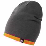 Helly Hansen Workwear Classic Reversible Beanie