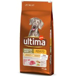 Ultima Medium/Maxi Adult Beef - 12 kg