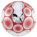 PUMA Fotball Cage - Fire Orchid/Sølv/Ultra Blue Fotballer unisex
