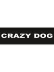 Julius-K9 CRAZY DOG large 160x50 mm