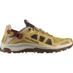 Salomon Mens Techamphibian 5 (Beige (ANTIQUE GOLD/RAINY DAY/BURNH) 46)