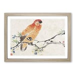 Big Box Art Parrot by Ren Yi Framed Wall Art Picture Print Ready to Hang, Oak A2 (62 x 45 cm)