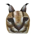 Roblox Raise A Floppa 3d Kvadratisk Katt Mjuk Plyschdocka Kattunge Plyschleksak Barn Jul Födelsedagspresent