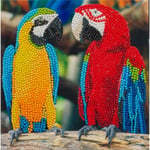 Kort Diamantmålning 18x18 cm, papegojvänner
