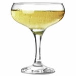 Bistro Champagne Saucers 8.5oz / 240ml - Set of 12 | Champagne Coupe Glasses