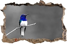 pixxp Rint 3D WD s4181 _ 92 x 62 winziger Joli Oiseau percée 3D Sticker Mural Mural en Vinyle, Noir/Blanc, 92 x 62 x 0,02 cm