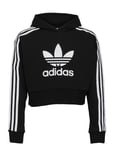 Adicolor Cropped Hoodie Tops Sweat-shirts & Hoodies Hoodies Black Adidas Originals