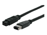 StarTech.com 6 ft IEEE-1394 Firewire Cable 9-6 M/M - IEEE 1394 cable - 6 pin FireWire (M) to FireWire 800 (M) - 6 ft - black - 1394_96_6 - Câble IEEE 1394 - FireWire 6 broches (M) pour FireWire...