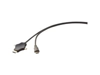 Renkforce 3-In-1-Kabel (Dp+ Mini Dp + Usb C Auf Hdmi) (Rf-3909364)