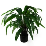 Leaf Design 60cm Artificial Calathea Evergreen Plant