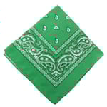 Bandana Scarf Sjal Snusnäsduk Paisleymönster Grön grön