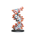 DNA Discovery Kit