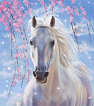 KSKD DIY Acrylic Painting Oil Digital Painting Techniques for Beginners Paint by Numbers Kit with Brushes and Paints White Horse- 16x20 inch Frameless
