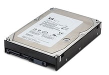 Hp - Hårddisk - 300 Gb - 2,5" - Sas - 10000 Rpm