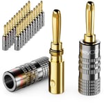deleyCON 24 Pièce Fiche Banane Jeu - Plaqué Or à Visser pour Câble Haut-Parleur Câble Haut-Parleur 0,75 mm - 4,5 mm & par Ex. HiFi Audio Home Cinéma Récepteur - Gris