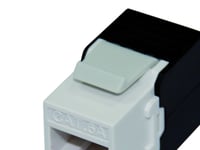 Roline Keystone Jack, Cat. 6A, Rj-45, Unshielded, Toolless, White, Vit