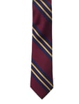 Miles Burgundy Striped Silk Tie Patterned AN IVY