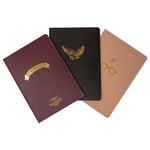 Harry Potter Hogwarts A6 Shrinkwrapped Notebooks 3 Pack