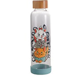 Disney Half Moon Bay The Aristocats Glass Water Bottle - 500ml - Travel Water Bottle Gifts