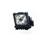 MICROLAMP ML12730 195W projektionslampa - lampprojektion (195W, 7000H, Optoma, X355, DW441, H115, S341, TW342)