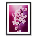 Cherry Blossom Tree Expression Framed Wall Art Print, Ready to Hang Picture for Living Room Bedroom Home Office, Black A2 (48 x 66 cm)