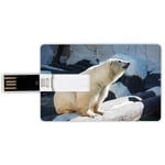 64G USB Flash Drives Credit Card Shape Zoo Memory Stick Bank Card Style Polar Bear Wildlife Park Rocks Water Cold Climate Tourist Attraction Image Decorative,Light Blue Black Cream Waterproof Pen Thum