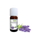Lavender True Organic Essential Oil, 10ml