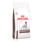 Royal Canin Veterinary Canine Gastrointestinal - 2 x 15 kg