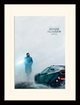 Blade Runner 2049 Memorabilia, Multi Coloured, 30 x 40cm